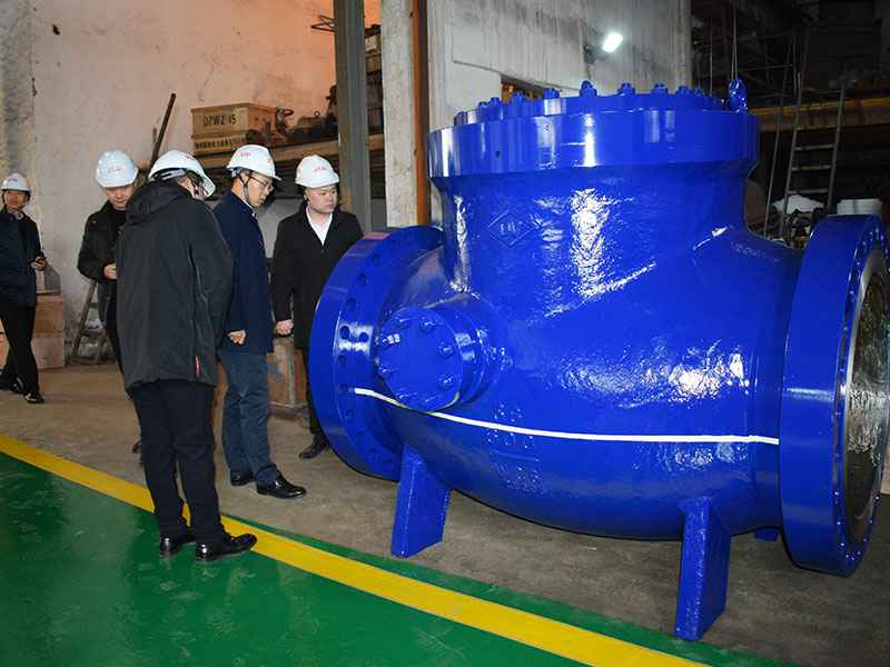 苗市长走访星空网页版登录页面入口-星空online(中国)集团